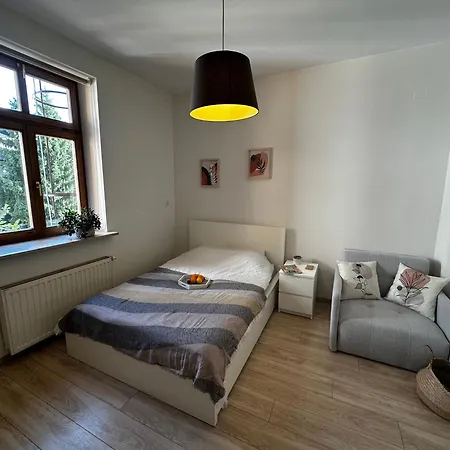 Appartement Debniki Nest